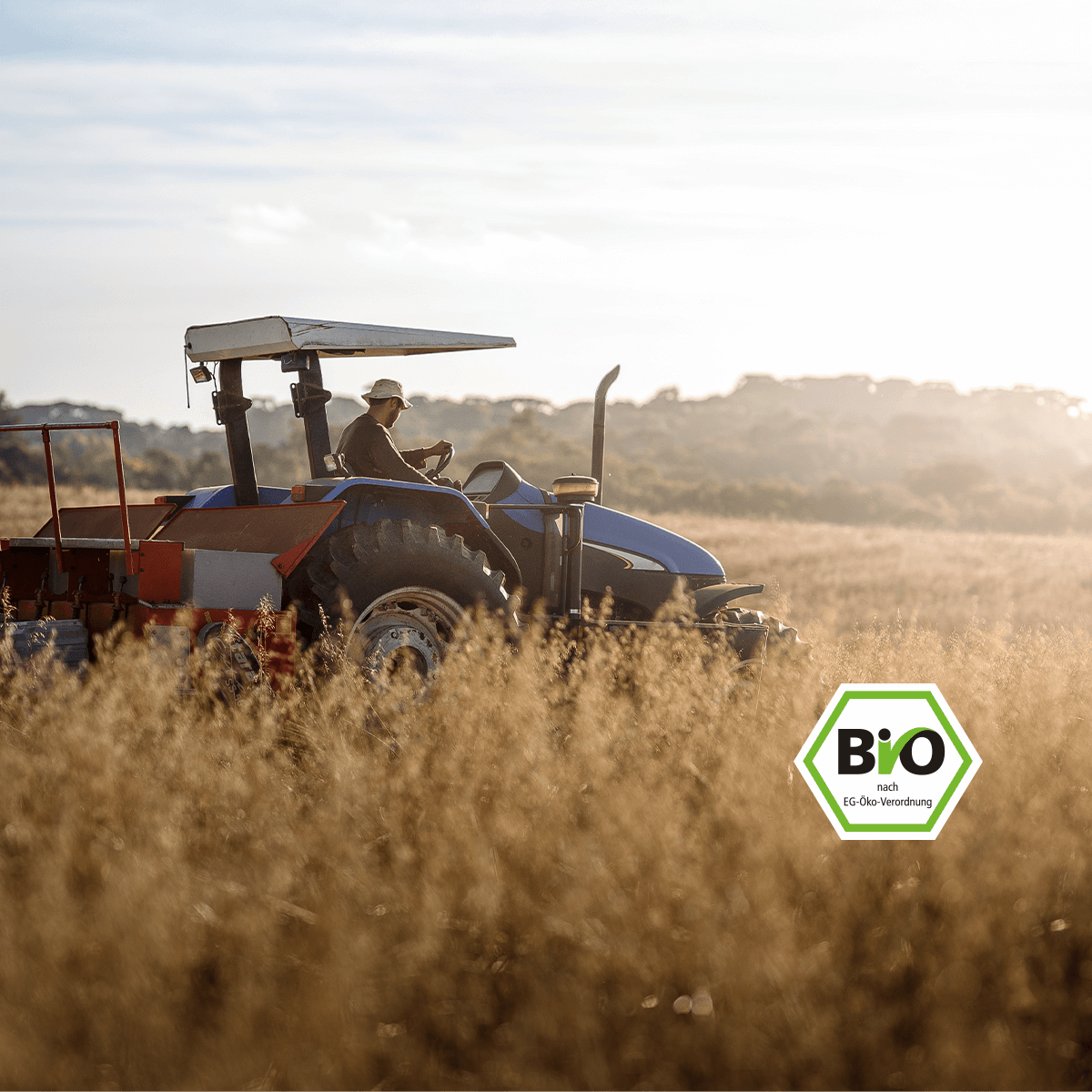 mymuesli Produkte bestehen zu 100% aus Bio Zutaten. Lese hier mehr dazu!