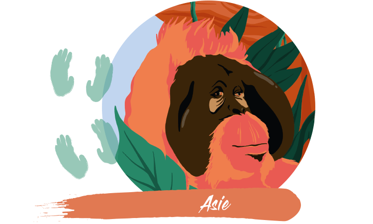 article-asien-FR.png