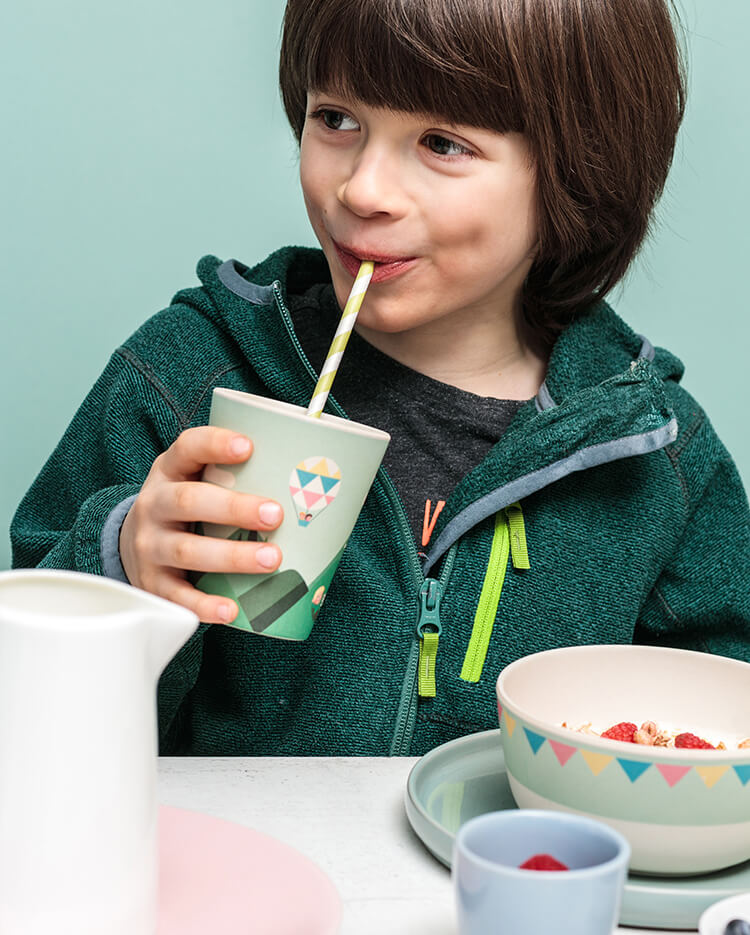 article3-kindergeschirr.jpg