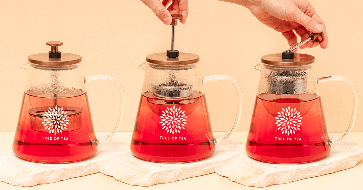 tree of tea théière en verre