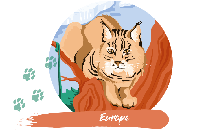 article-europa-FR.png