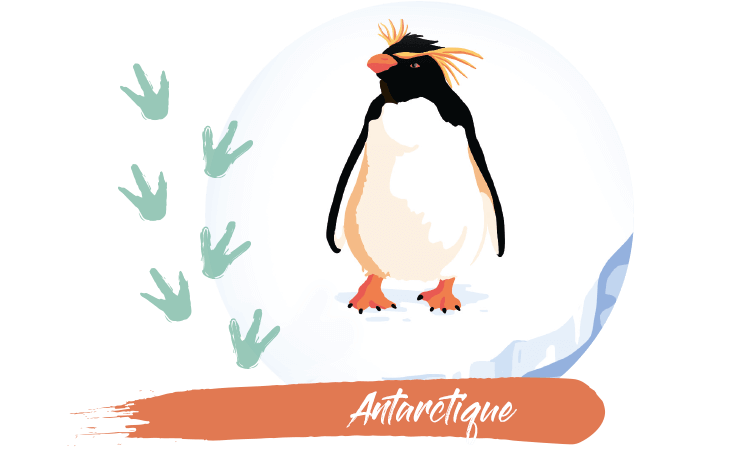 article-antarktis-FR.png