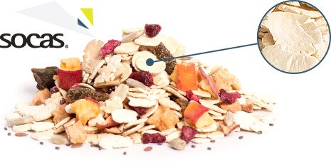 Sojaflocken haben viel Protein und wenig Kohlenhydrate Low Carb